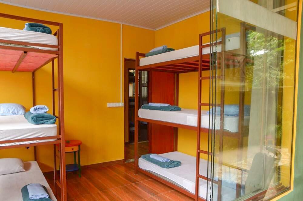 Hostel Mpb Ilha Grande 외부 사진